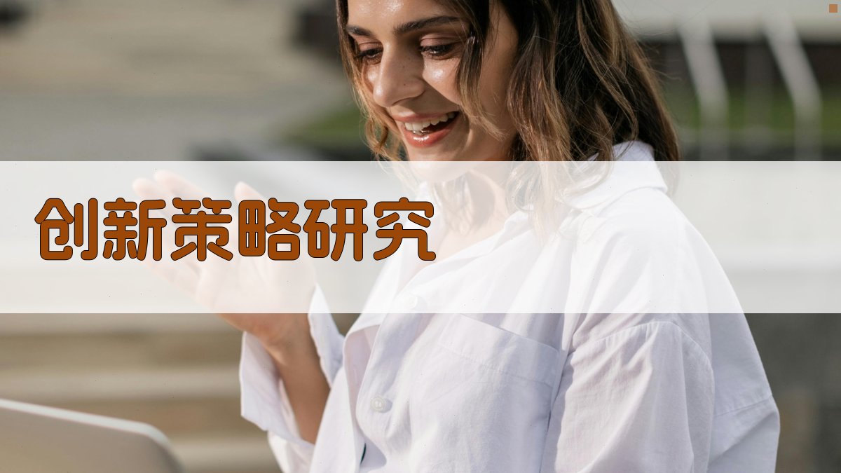 创新策略研究 图3