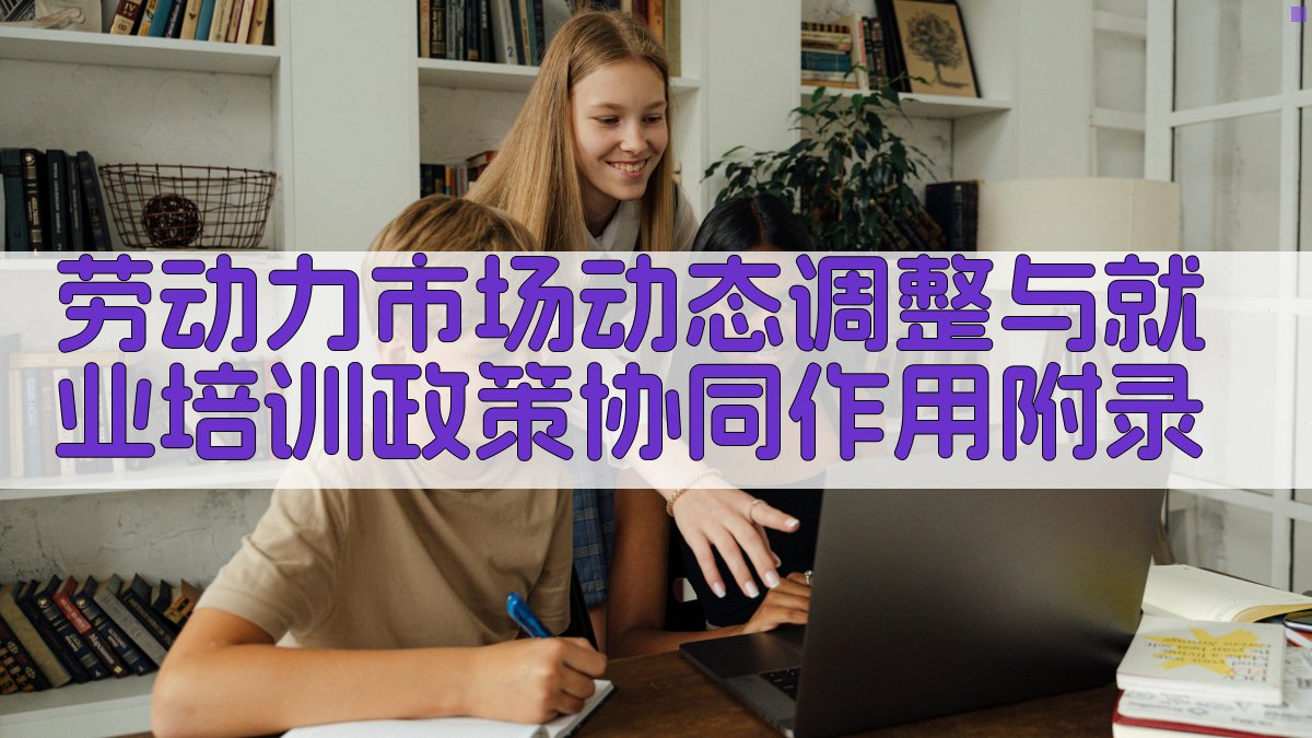 劳动力市场动态调整与就业培训政策协同作用 · 附录 图1