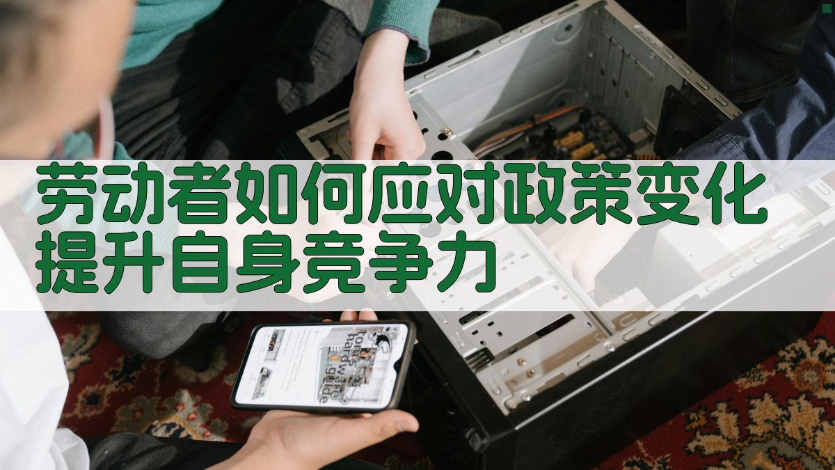 劳动者如何应对政策变化提升自身竞争力 图3