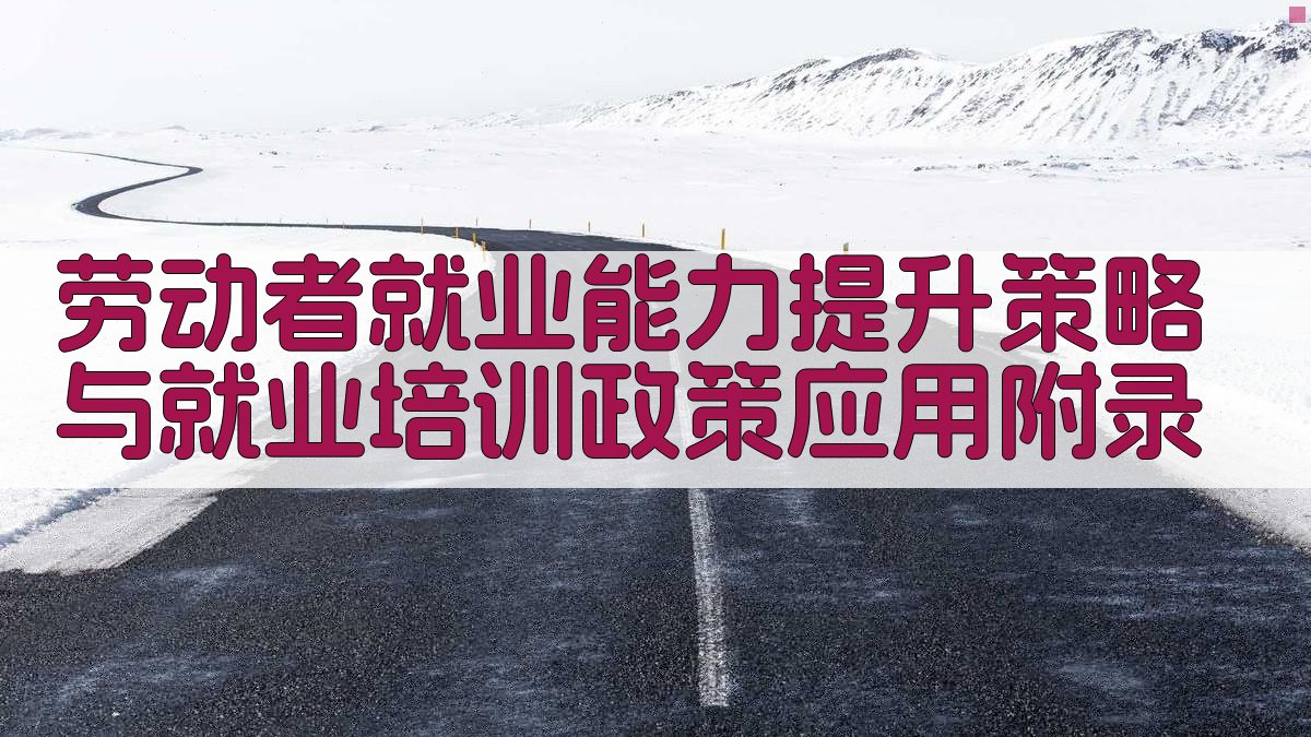 劳动者就业能力提升策略与就业培训政策应用 · 附录 图4