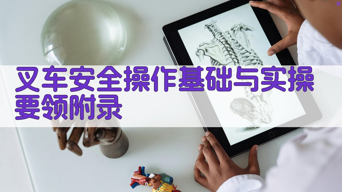 叉车安全操作基础与实操要领 · 附录 图2