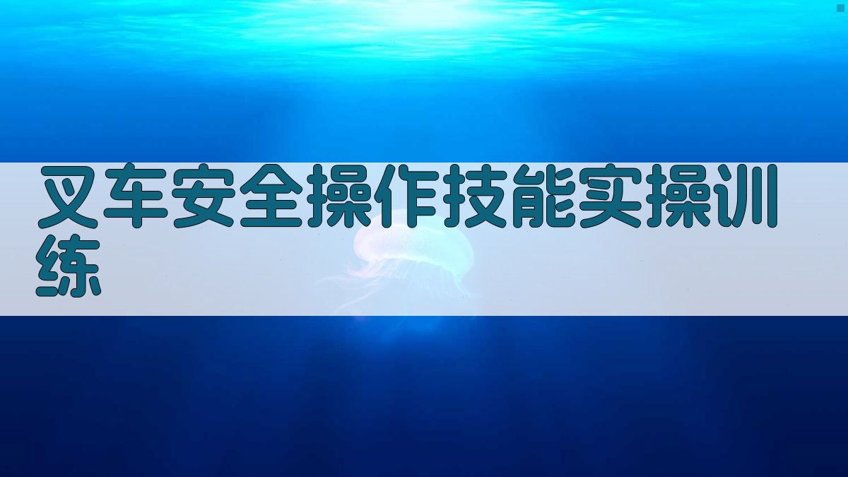 叉车安全操作技能实操训练 图3