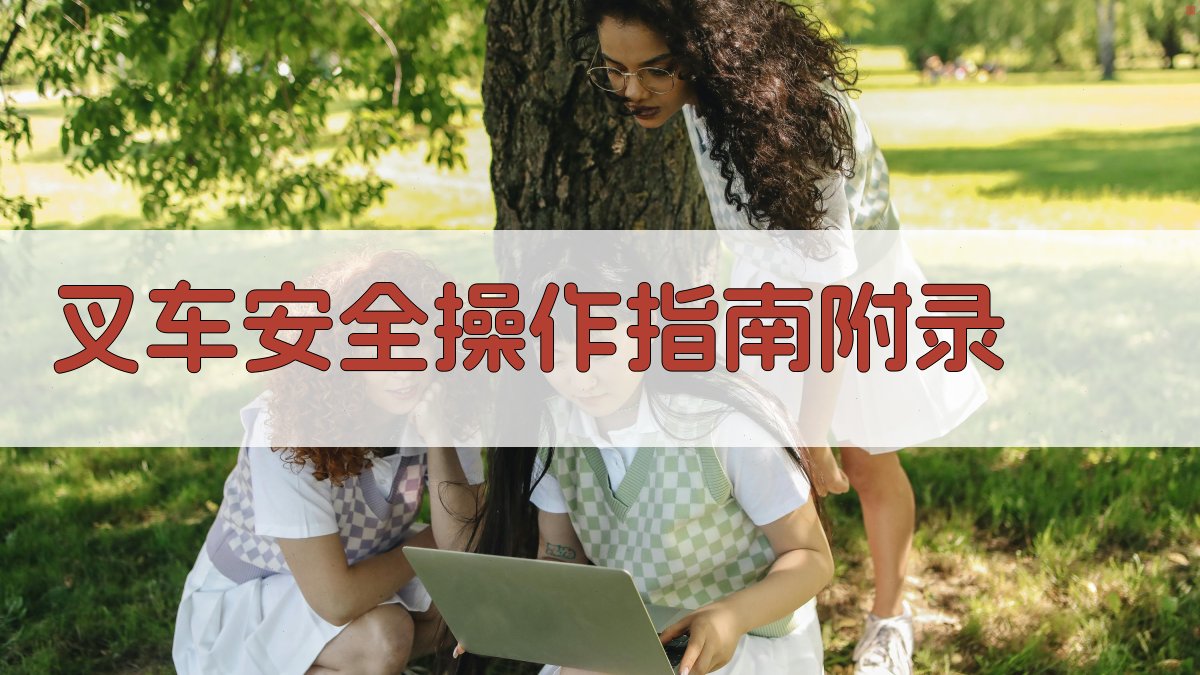 叉车安全操作指南 · 附录 图2