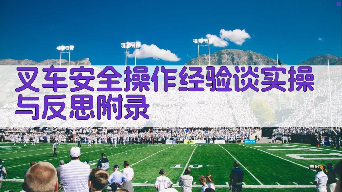 叉车安全操作经验谈实操与反思 · 附录 图5