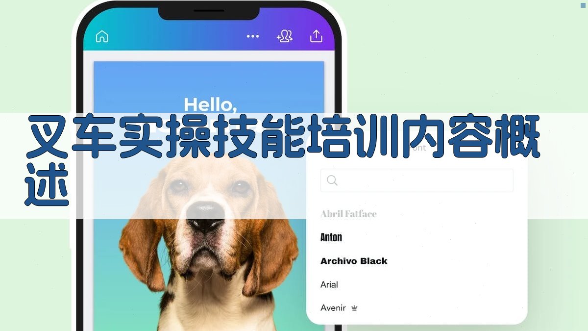 叉车实操技能培训内容概述 图1
