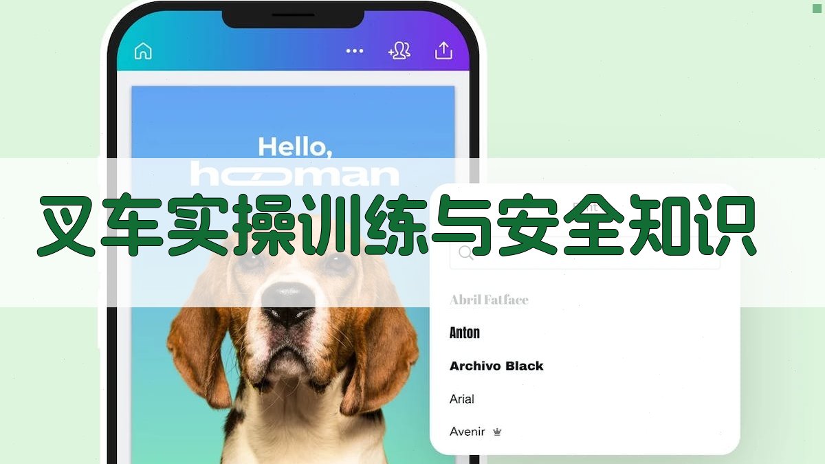 叉车实操训练与安全知识 图3