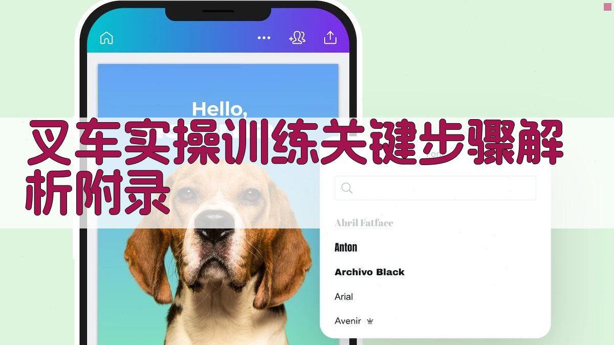 叉车实操训练关键步骤解析 · 附录 图5