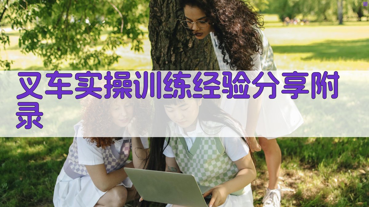 叉车实操训练经验分享 · 附录 图4