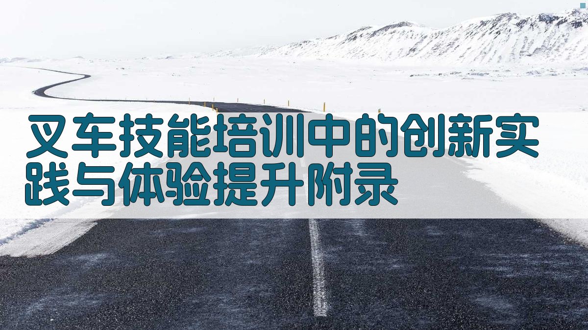 叉车技能培训中的创新实践与体验提升 · 附录 图4