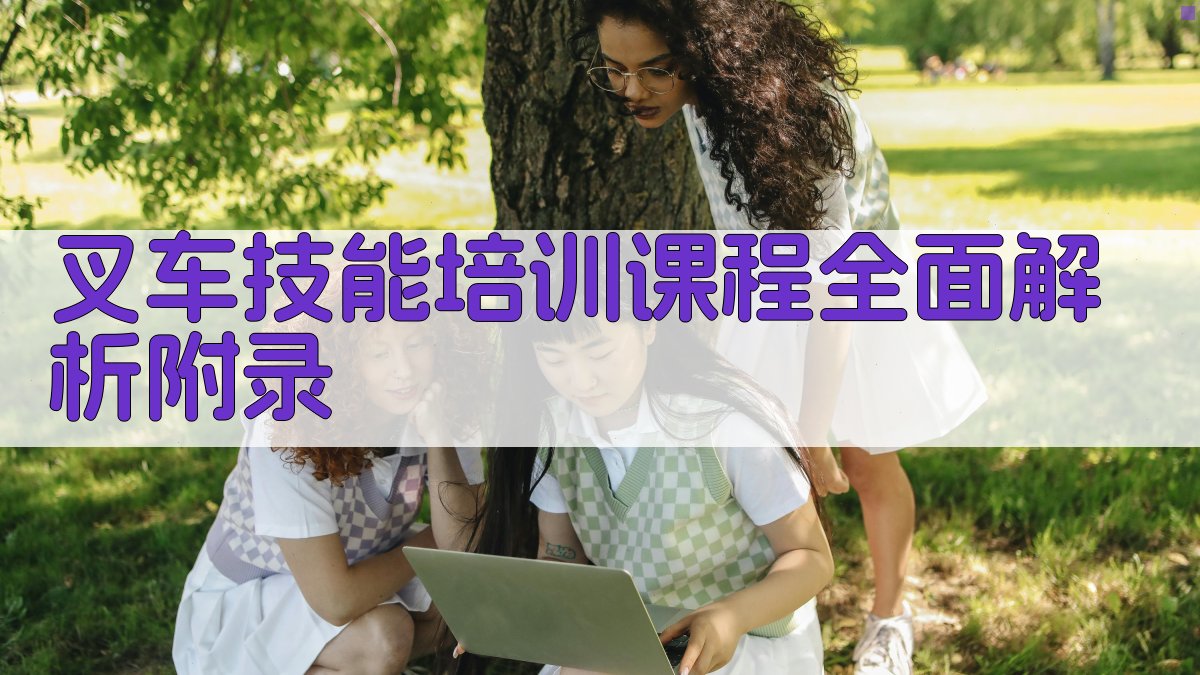 叉车技能培训课程全面解析 · 附录 图4