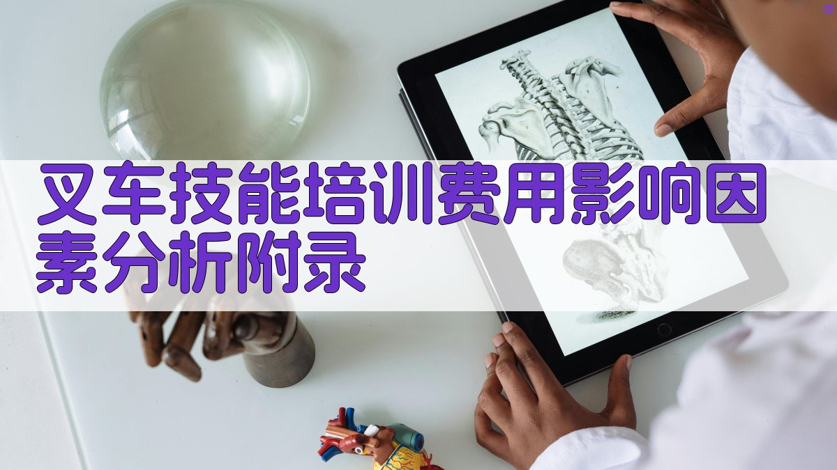 叉车技能培训费用影响因素分析 · 附录 图5