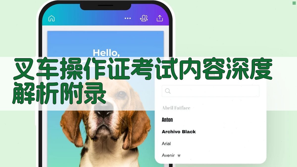 叉车操作证考试内容深度解析 · 附录 图3
