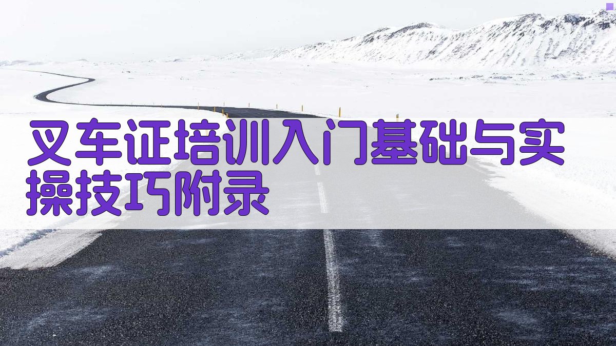 叉车证培训入门基础与实操技巧 · 附录 图2