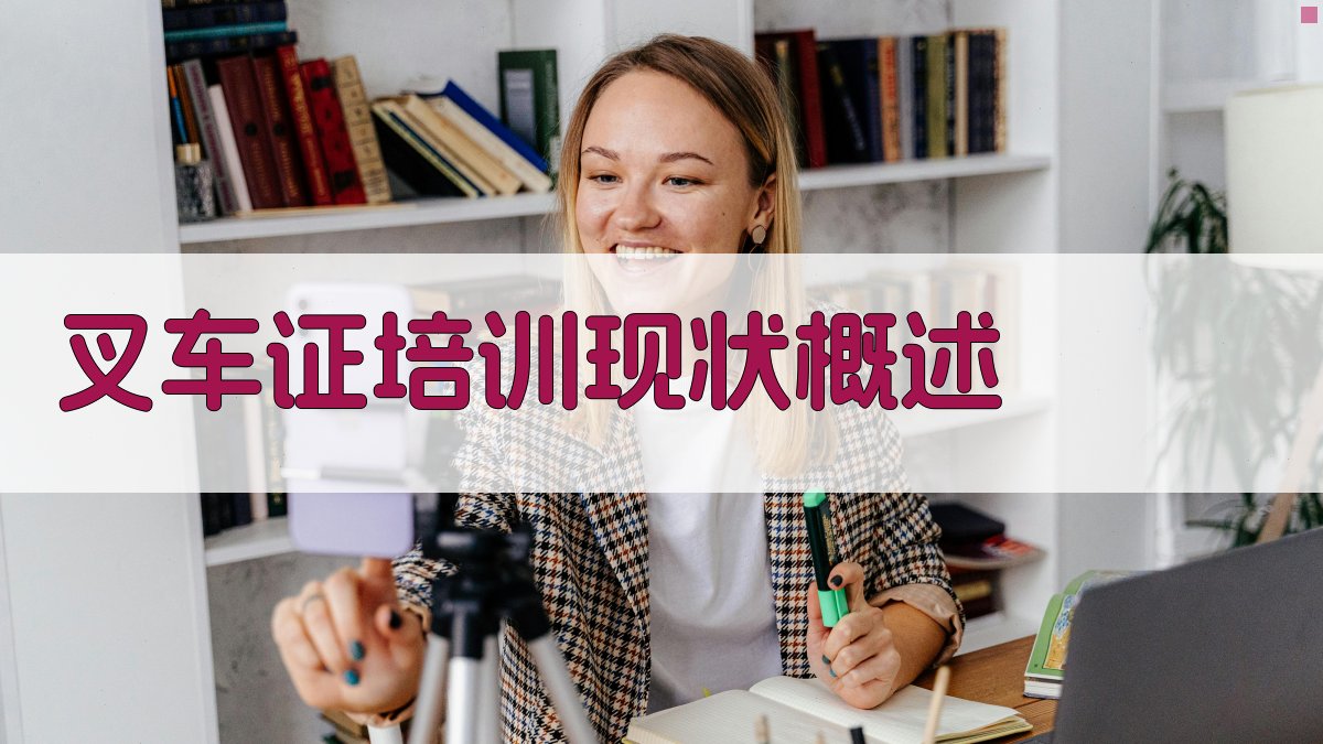 叉车证培训现状概述 图1