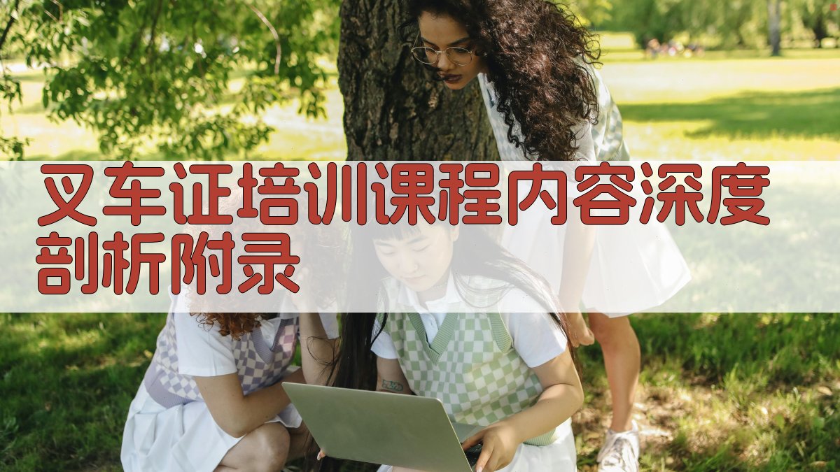 叉车证培训课程内容深度剖析 · 附录 图3