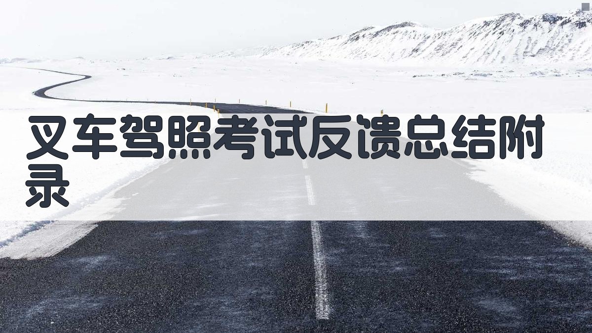 叉车驾照考试反馈总结 · 附录 图5