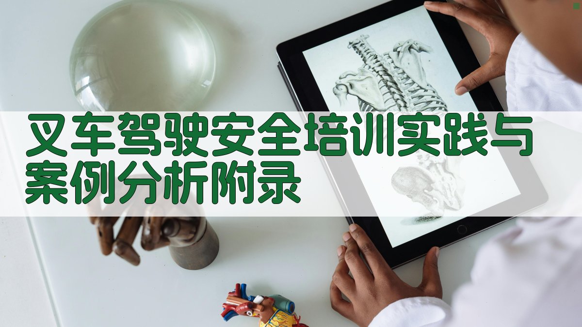 叉车驾驶安全培训实践与案例分析 · 附录 图4