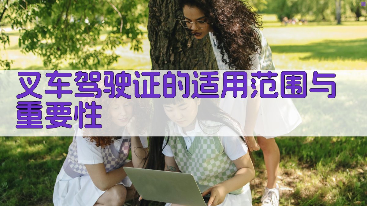 叉车驾驶证的适用范围与重要性 图1