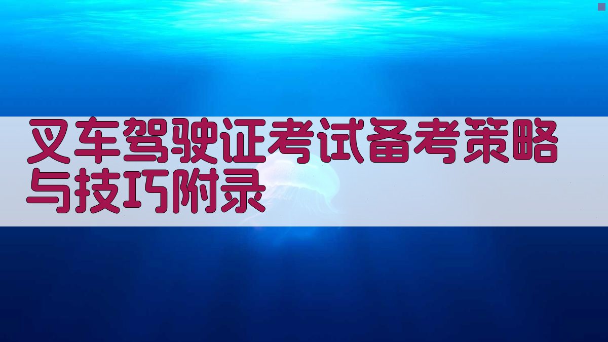 叉车驾驶证考试备考策略与技巧 · 附录 图5