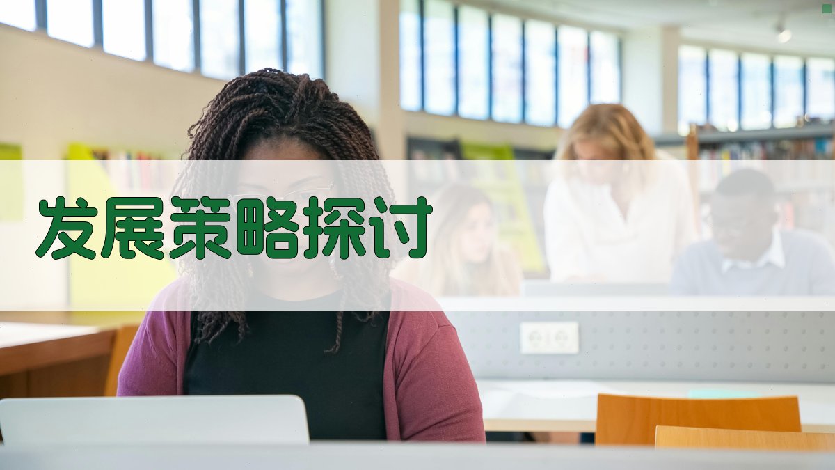 发展策略探讨 图3