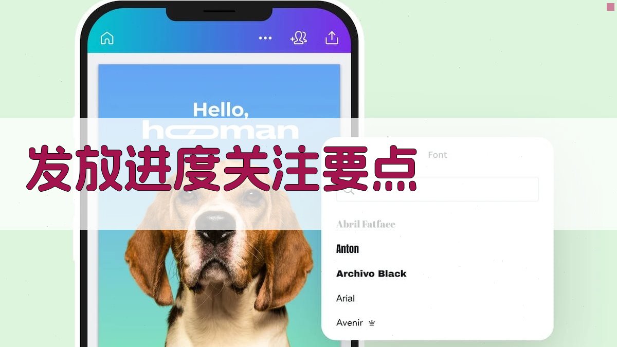发放进度关注要点 图2