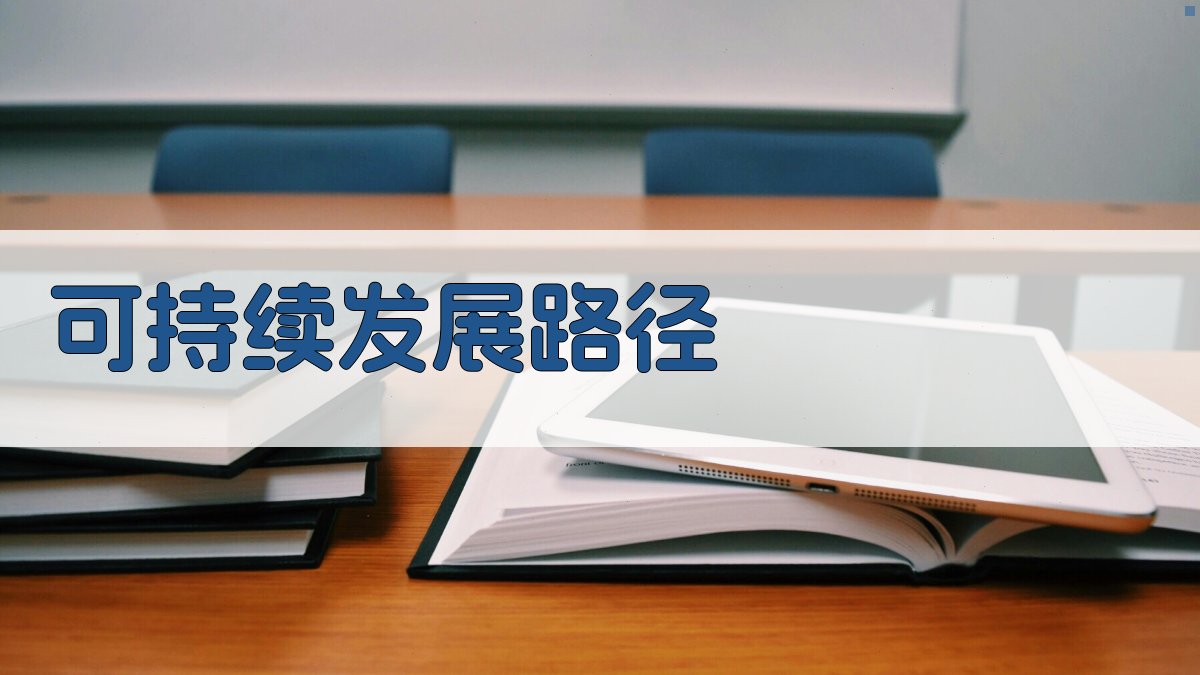 可持续发展路径 图2