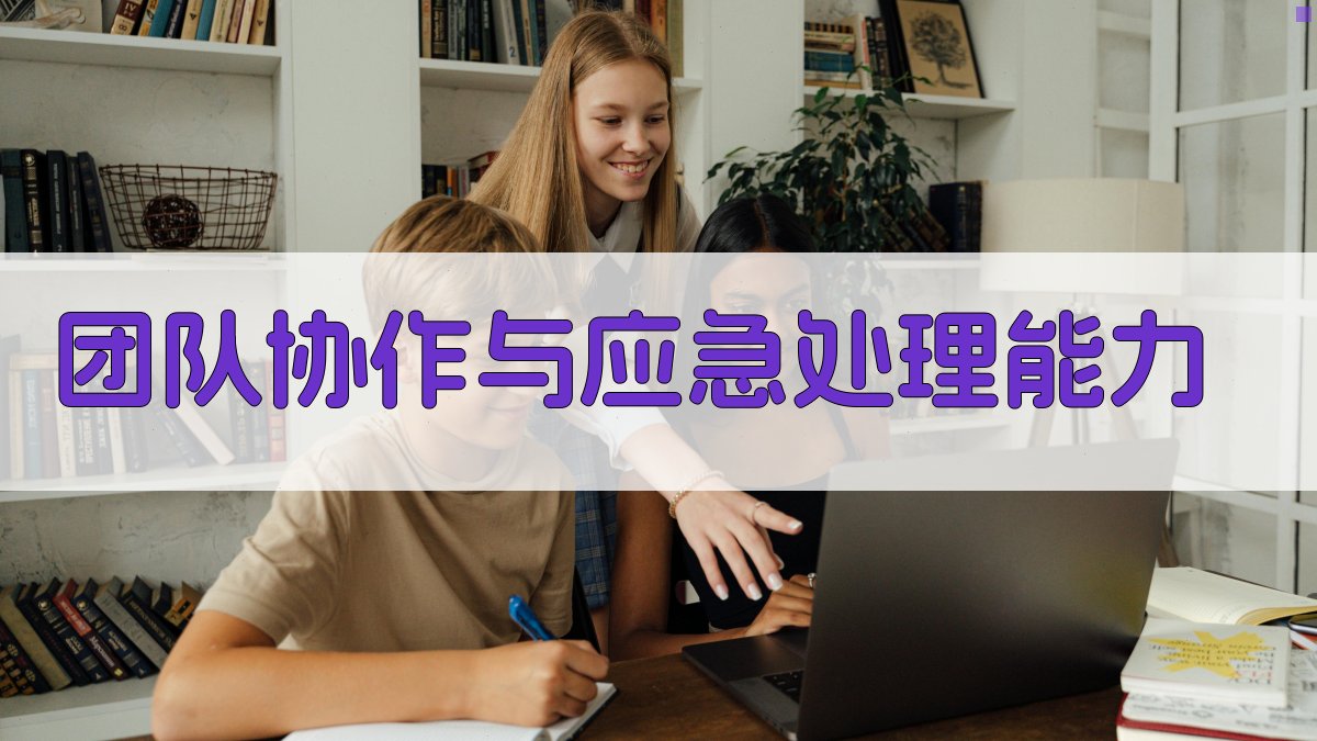 团队协作与应急处理能力 图5
