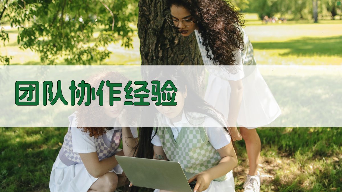 团队协作经验 图4