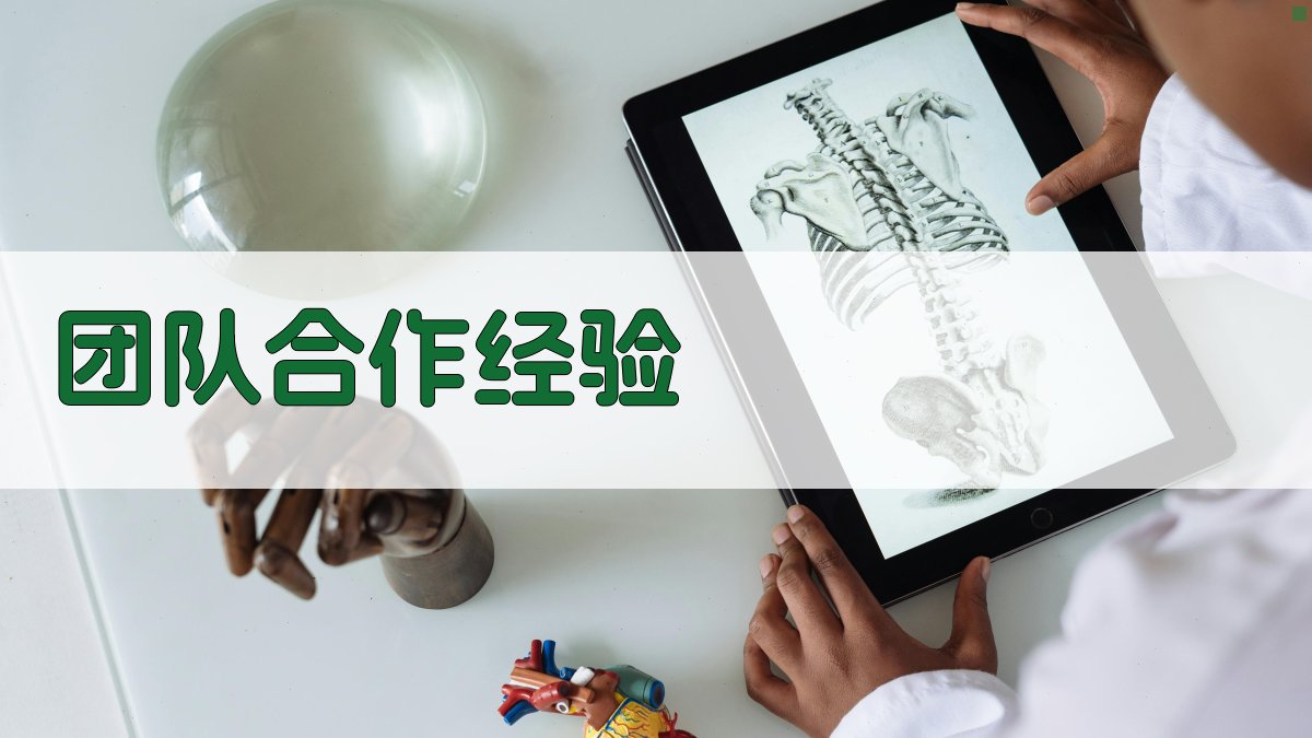 团队合作经验 图2