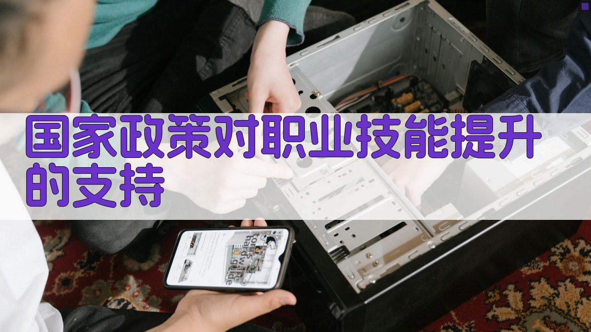 国家政策对职业技能提升的支持 图3