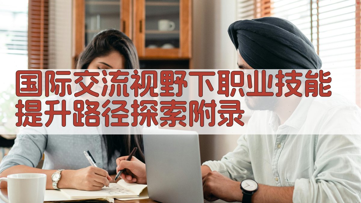 国际交流视野下职业技能提升路径探索 · 附录 图5