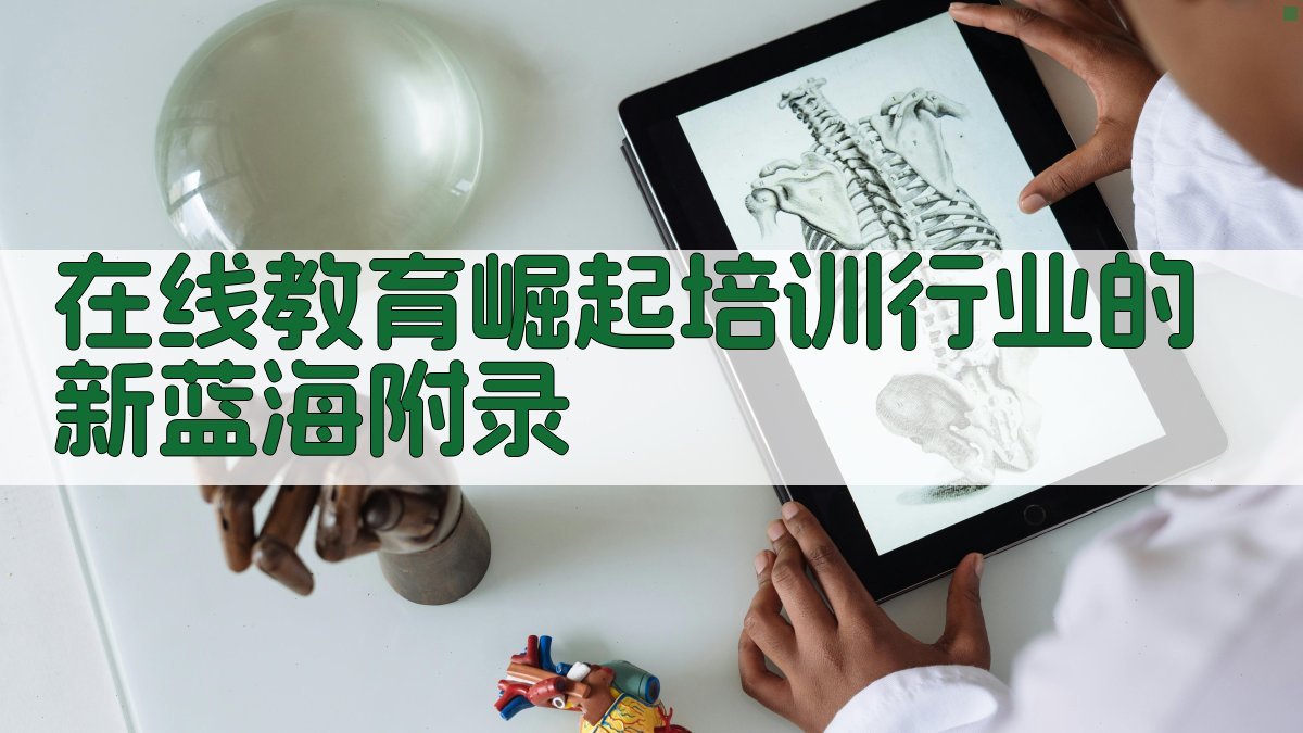 在线教育崛起培训行业的新蓝海 · 附录 图5