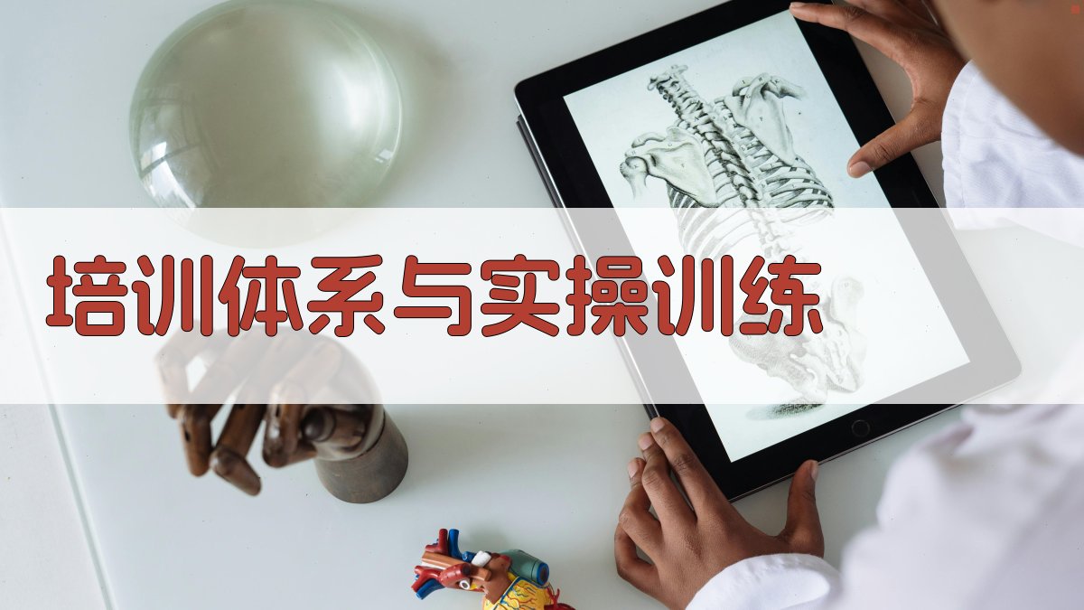 培训体系与实操训练 图1