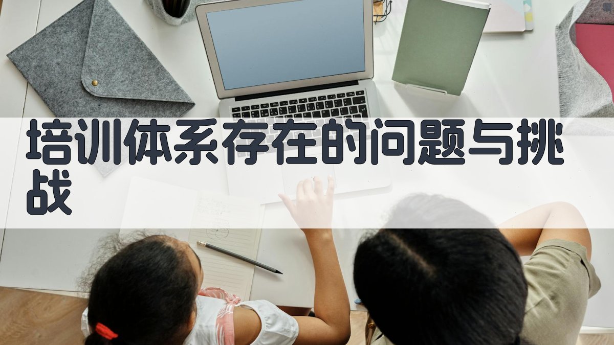 培训体系存在的问题与挑战 图2