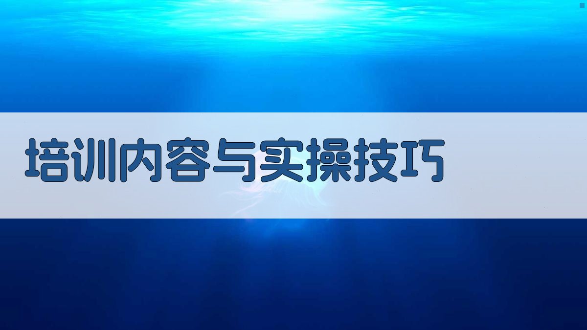 培训内容与实操技巧 图2