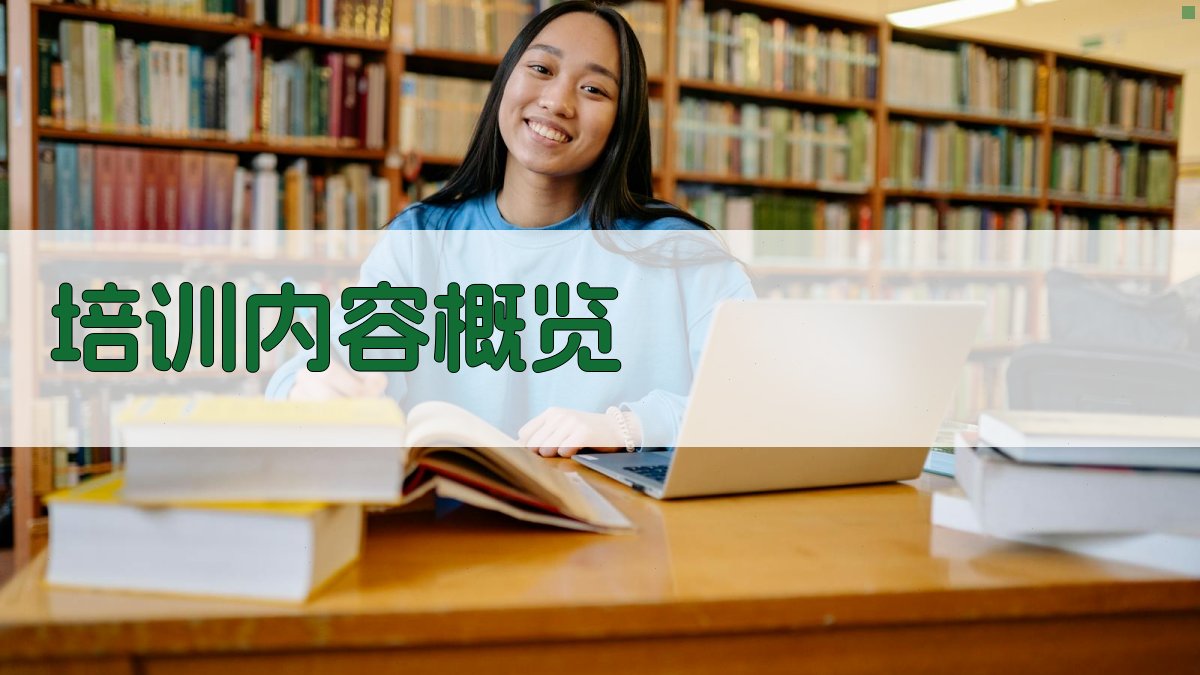 培训内容概览 图1