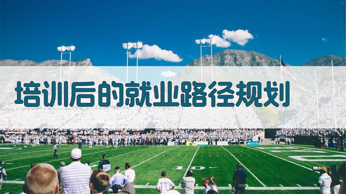 培训后的就业路径规划 图2