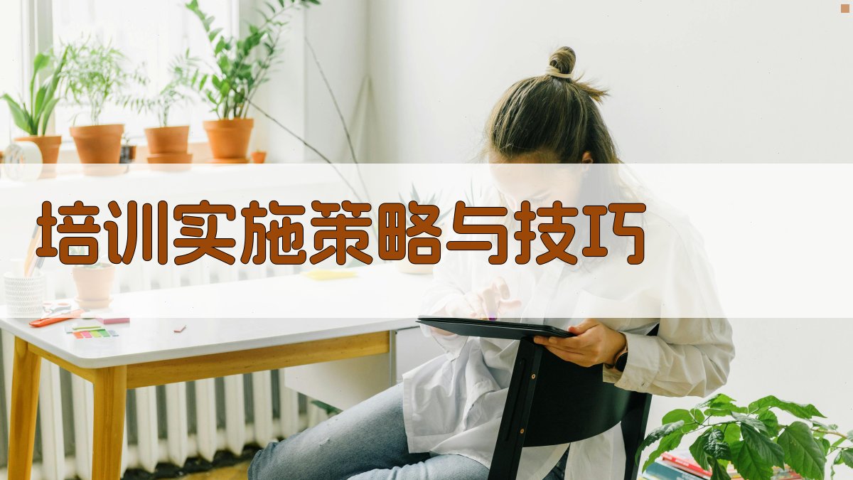 培训实施策略与技巧 图3