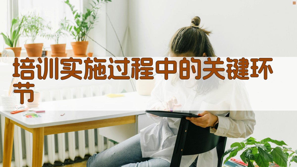 培训实施过程中的关键环节 图3