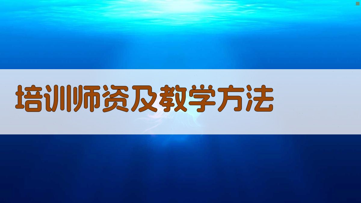 培训师资及教学方法 图1