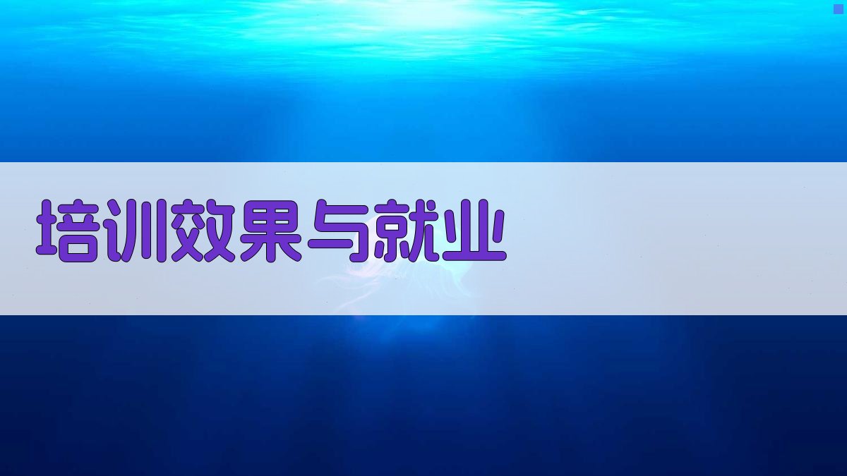 培训效果与就业 图1