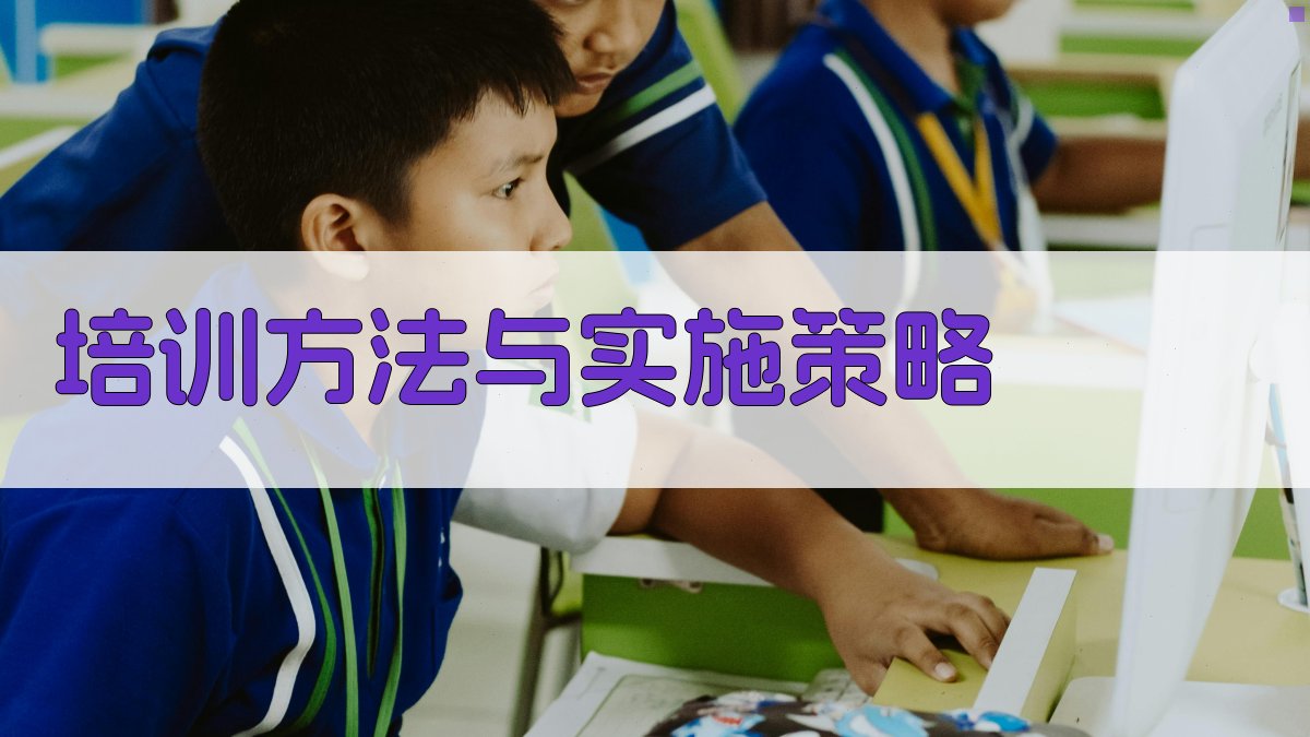 培训方法与实施策略 图3