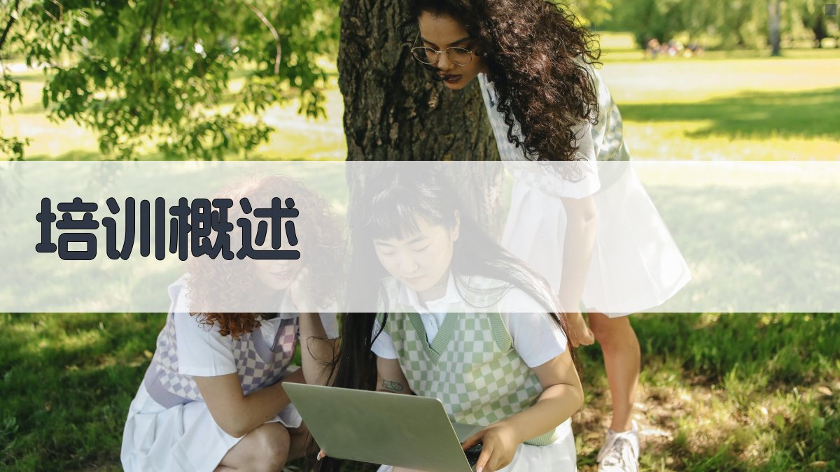 培训概述 图1