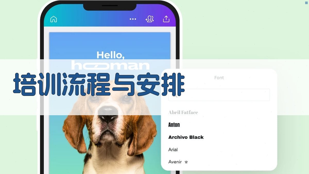 培训流程与安排 图1