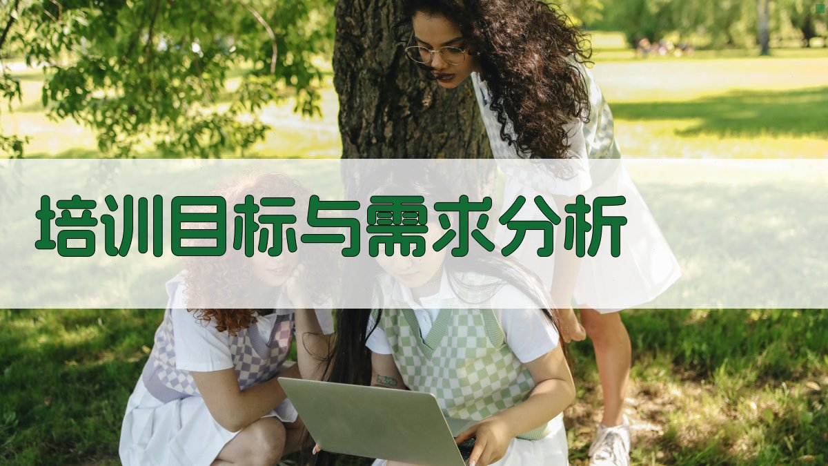 培训目标与需求分析 图1