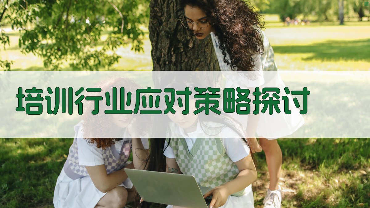 培训行业应对策略探讨 图2