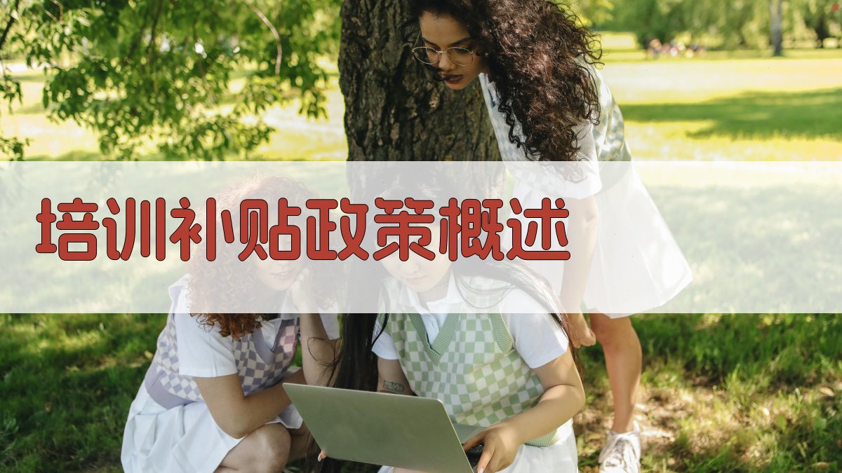 培训补贴政策概述 图1