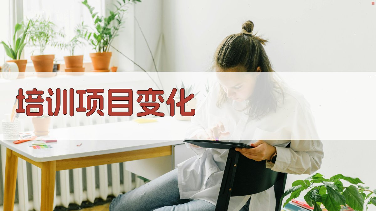 培训项目变化 图2
