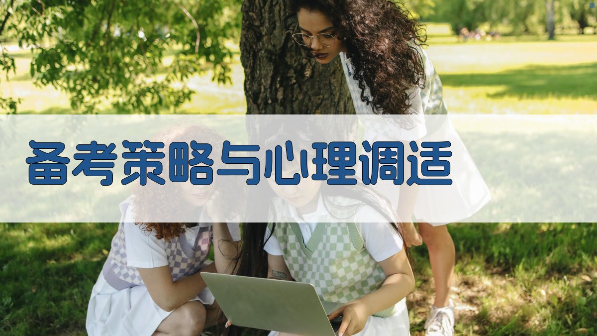 备考策略与心理调适 图3