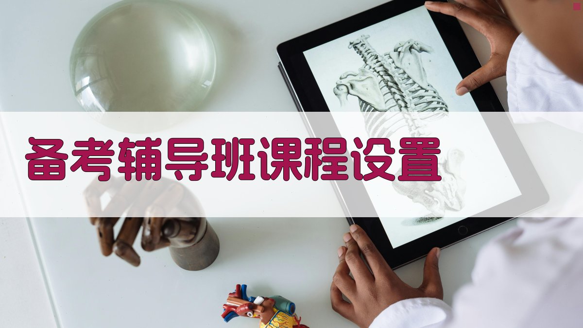 备考辅导班课程设置 图2